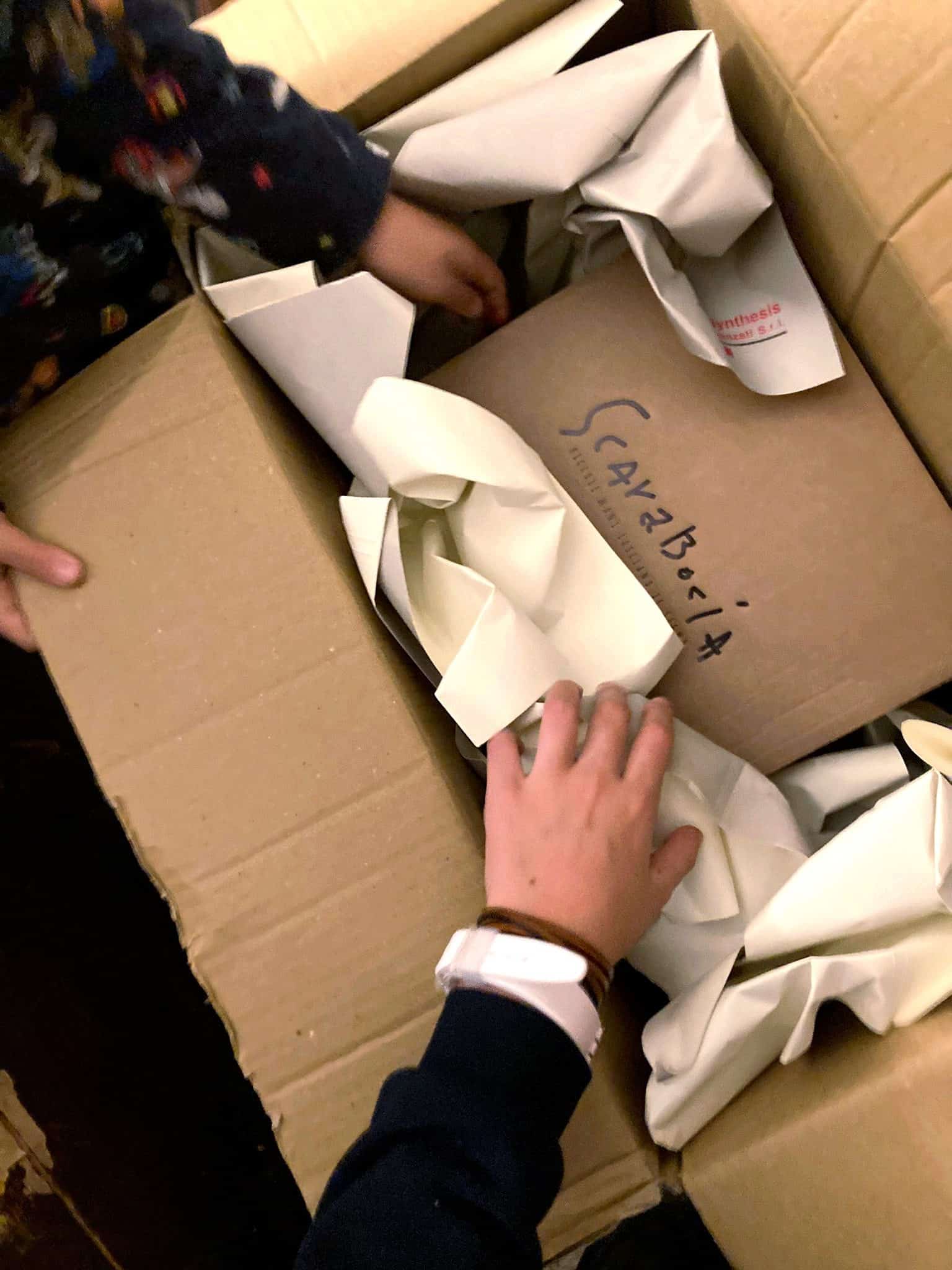 SCARABOCIA Set da 4 Piatti (prezzo con spedizioni incluse) - immagine 18